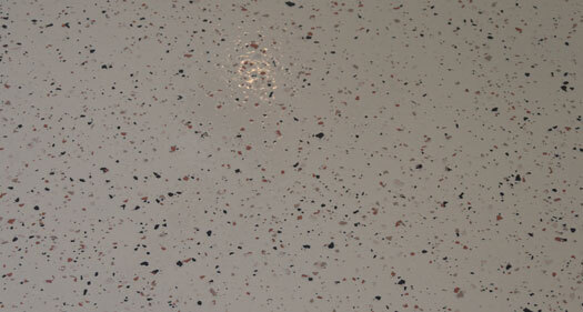 Safe Non-Slip Surface Safe Non-Slip Surface